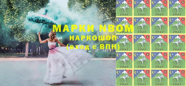 МДПВ Бородино