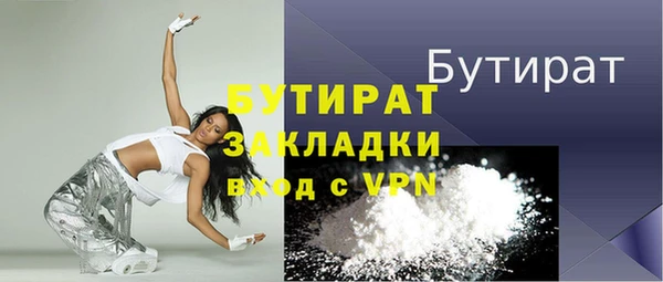 МДПВ Бородино