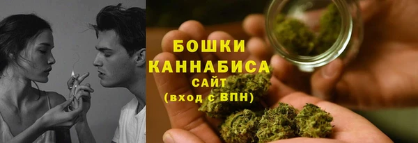 МДПВ Бородино