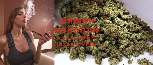 МДПВ Бородино