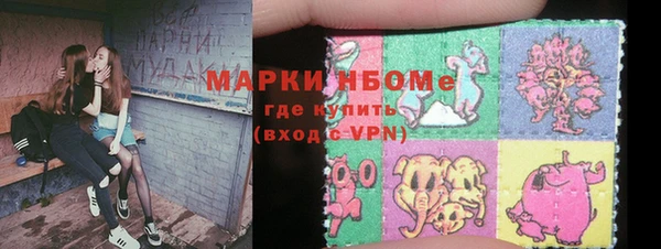 МДПВ Бородино