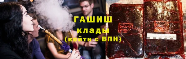 МДПВ Бородино