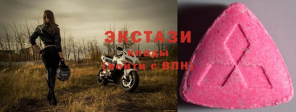 МДПВ Бородино