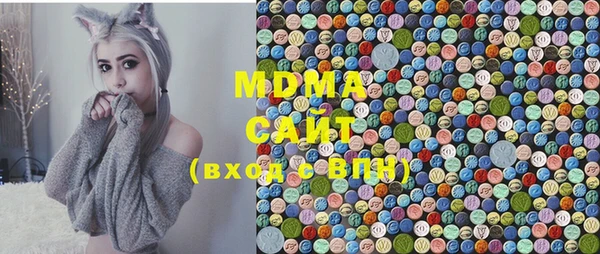 МДПВ Бородино