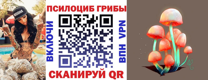 Псилоцибиновые грибы ЛСД  Купить где  Новосиль 